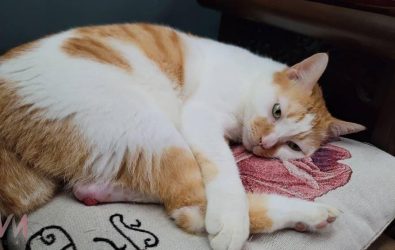 wm20251128114046805231