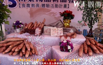 芳苑農會發表新品「人蔘山藥」，並舉辦農特產展售與農民節表揚活動．有家政班成果展、食農教育DIY、社區舞蹈演出。（記者陳雅芳攝）
