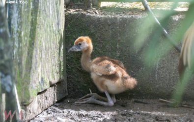 wm20251201100001467436