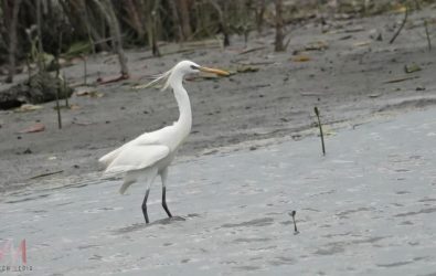 wm20251201100004517887