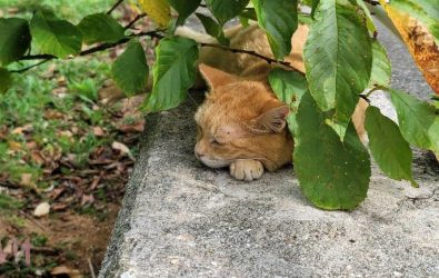 wm20251201100009395504