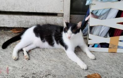 wm20251201101021641627