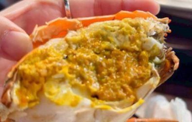 wm20251202080509006340