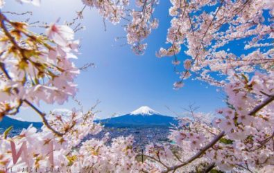 wm20251203200552991608