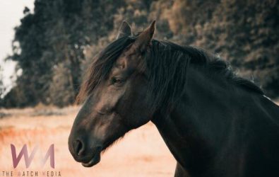 wm20251204150100582396