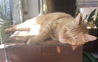 wm20251205084034648501