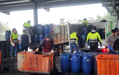 1141207-211 2027 禁廚餘養豬倒數　桃園緊急應變不讓學校業者亂了套