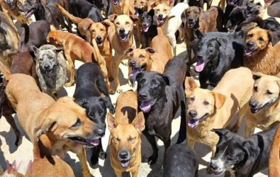 wm20251211081544557698