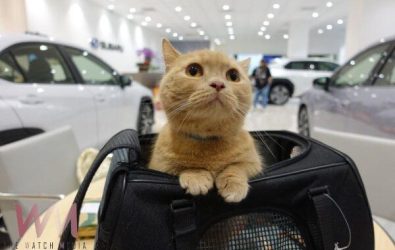 wm20251211173058600816