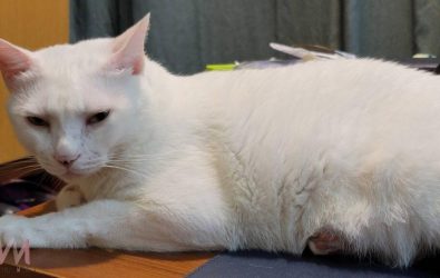 wm20251212080619513749