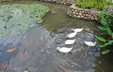 wm20251212083537514297