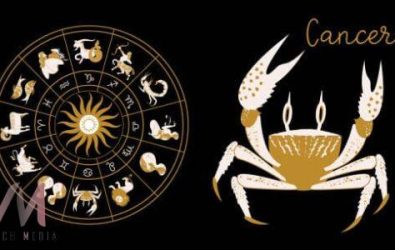 wm20251213081054271227