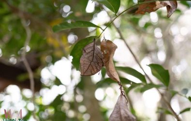 wm20251213082600213538