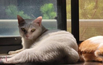 wm20251213090137639678