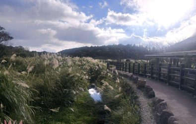 wm20251214090046802472