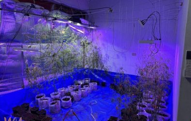 wm20251214103100704876