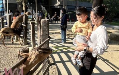 wm20251216133216110793