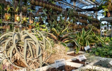 wm20251217084210440751