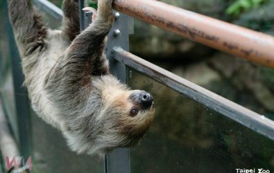 wm20251219112755067199